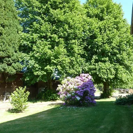 Appartement 'chez Lulu' - Cocon Avec Bain Nordique Et Sauna En Ardenne *