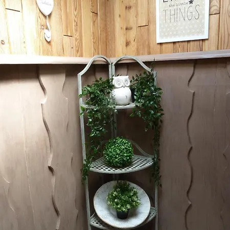 'chez Lulu' - Cocon Avec Bain Nordique Et Sauna En Ardenne * Nassogne