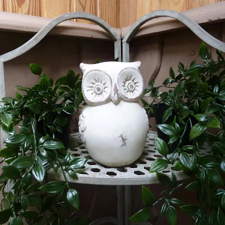 'chez Lulu' - Cocon Avec Bain Nordique Et Sauna En Ardenne * Nassogne