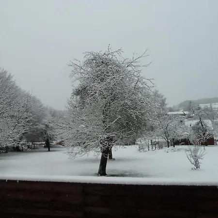 Appartement 'chez Lulu' - Cocon Avec Bain Nordique Et Sauna En Ardenne *