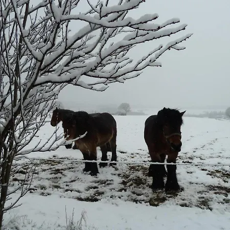 'chez Lulu' - Cocon Avec Bain Nordique Et Sauna En Ardenne Apartamento Nassogne