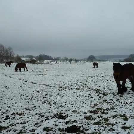 Appartement 'chez Lulu' - Cocon Avec Bain Nordique Et Sauna En Ardenne Nassogne