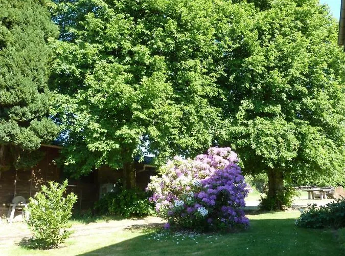 Apartamento 'chez Lulu' - Cocon Avec Bain Nordique Et Sauna En Ardenne *