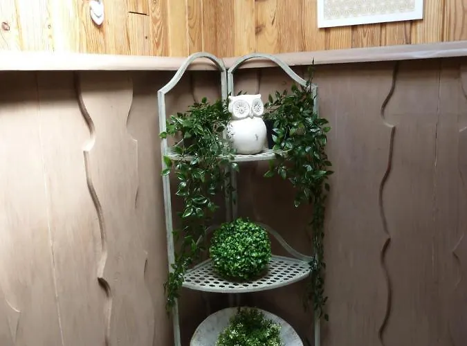 'chez Lulu' - Cocon Avec Bain Nordique Et Sauna En Ardenne * Nassogne