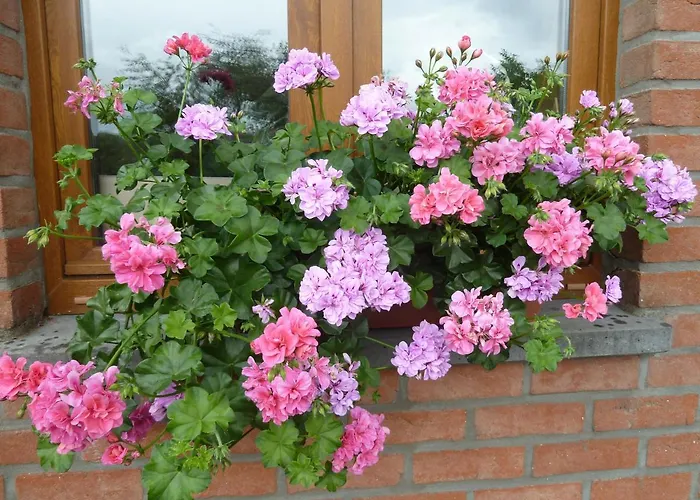 'chez Lulu' - Cocon Avec Bain Nordique Et Sauna En Ardenne Lejlighed