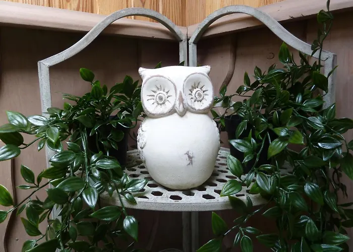 'chez Lulu' - Cocon Avec Bain Nordique Et Sauna En Ardenne * Nassogne