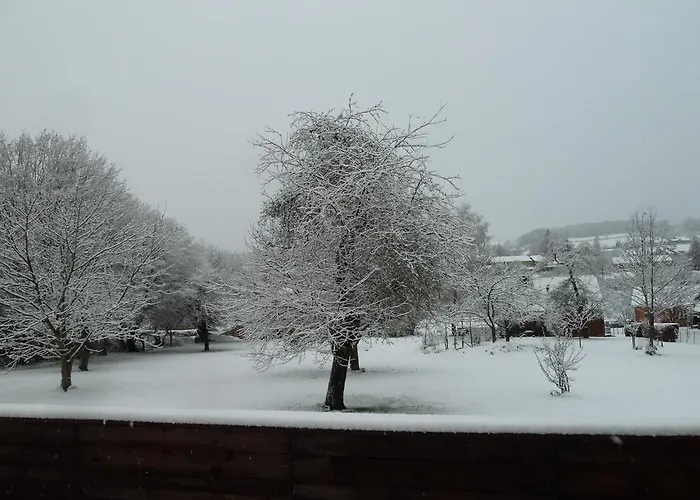 Apartamento 'chez Lulu' - Cocon Avec Bain Nordique Et Sauna En Ardenne *